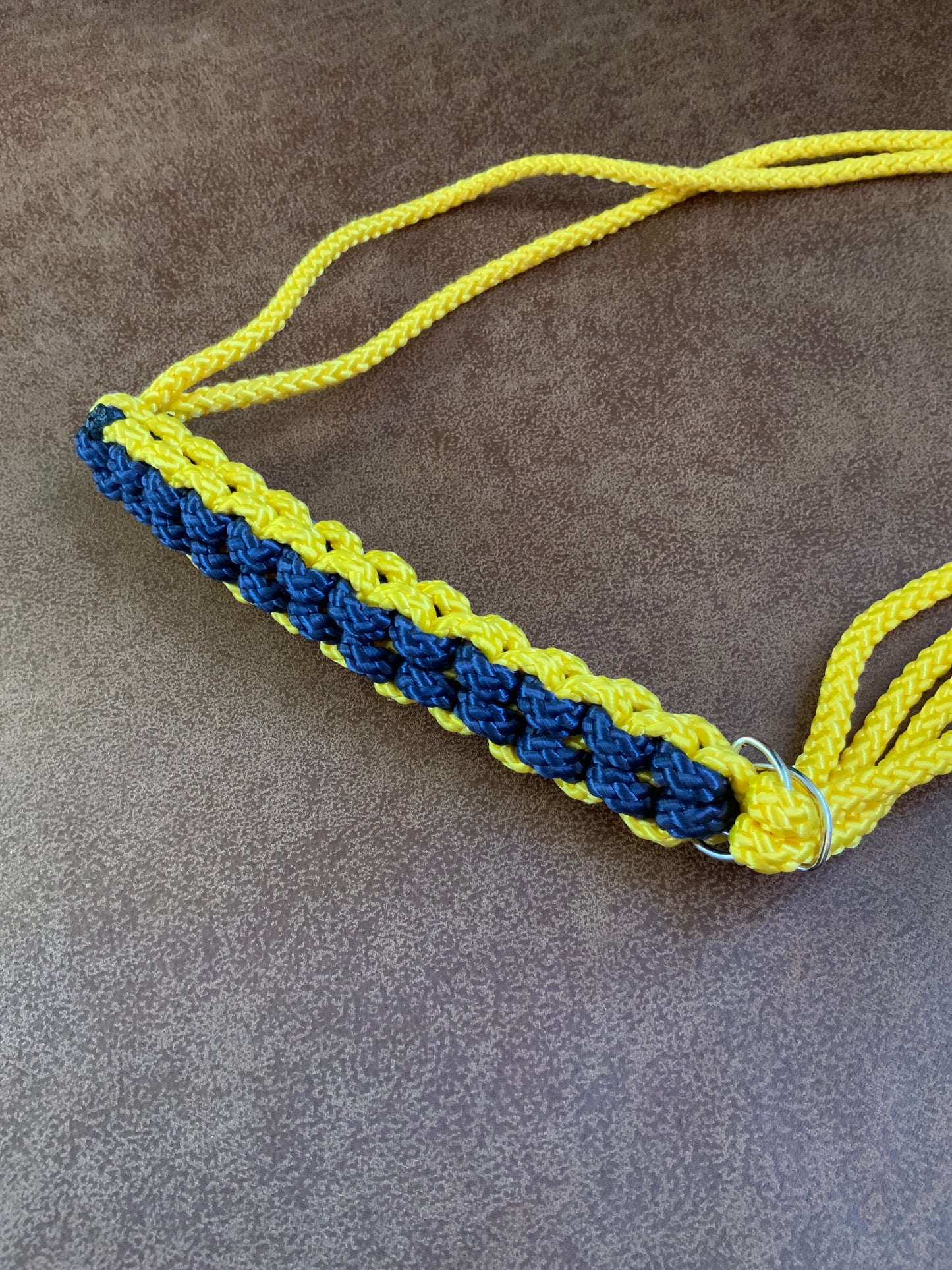 Gold Yellow + Navy, in a straight pattern